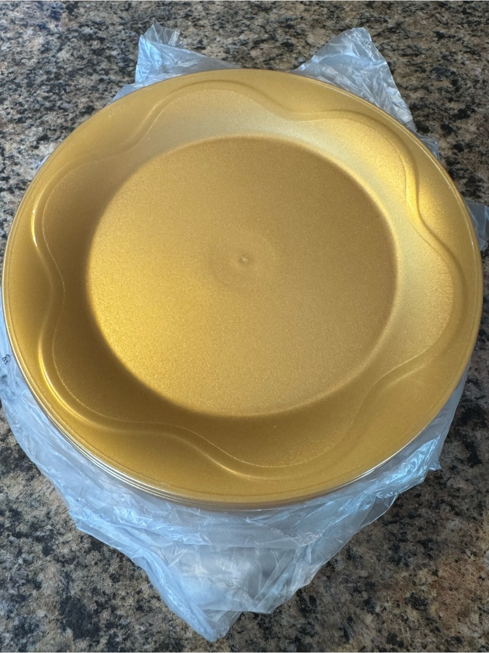 Tupperware 11" Lunch Dinner Plates Set Of 16 Sheerly Elegant Gold Open House New